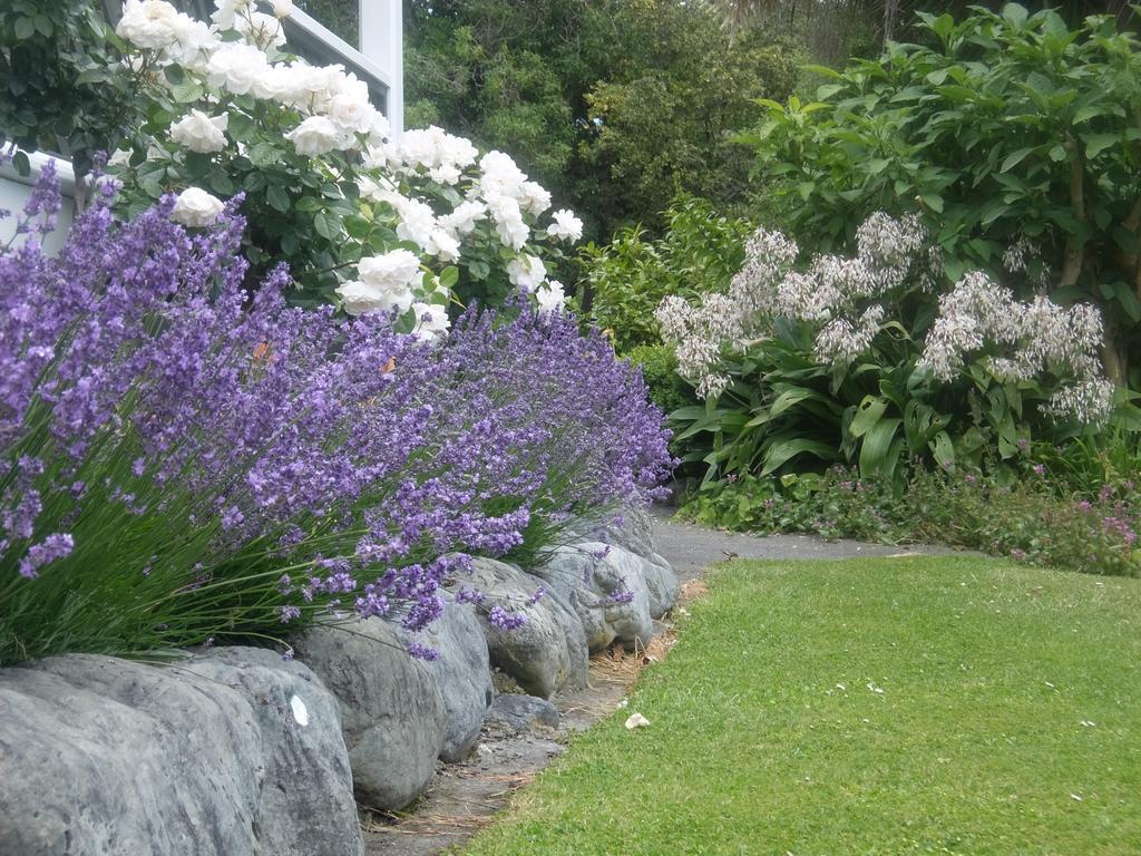 The Point B&B Kaikoura Ngoại thất bức ảnh